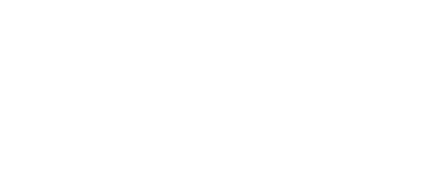 ibis